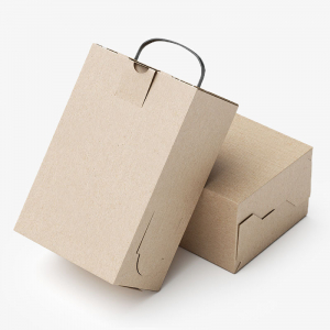 Custom Boxes with Plastic Handle