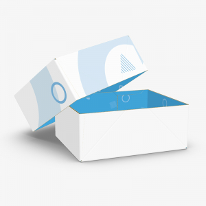 Collapsible Tray And Lid