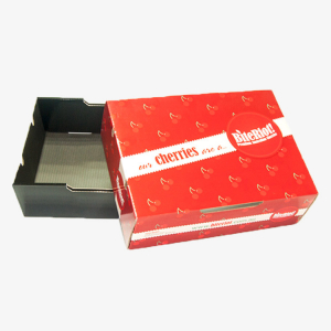 Cherries Lid & Tray Packaging Boxes