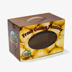 Corrugated Boxes with Plastic Handle