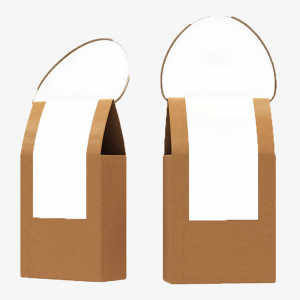 Kraft Box with Twisted Paper Handle