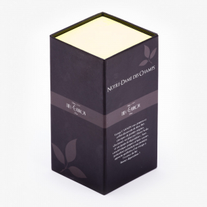 Magnetic Lock with Yellow Dividers