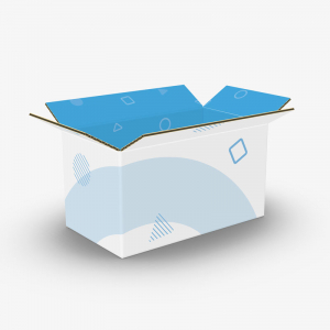 Regular Slotted Container (Auto Bottom)