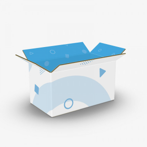 Regular Slotted Container (Snap Lock Bottom)