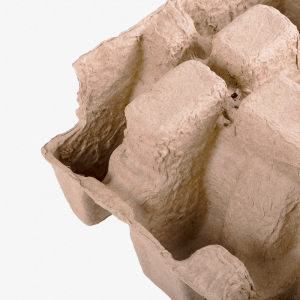 Thick Wall Molded Pulp