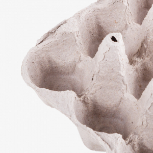 Transfer Mold Molded Pulp